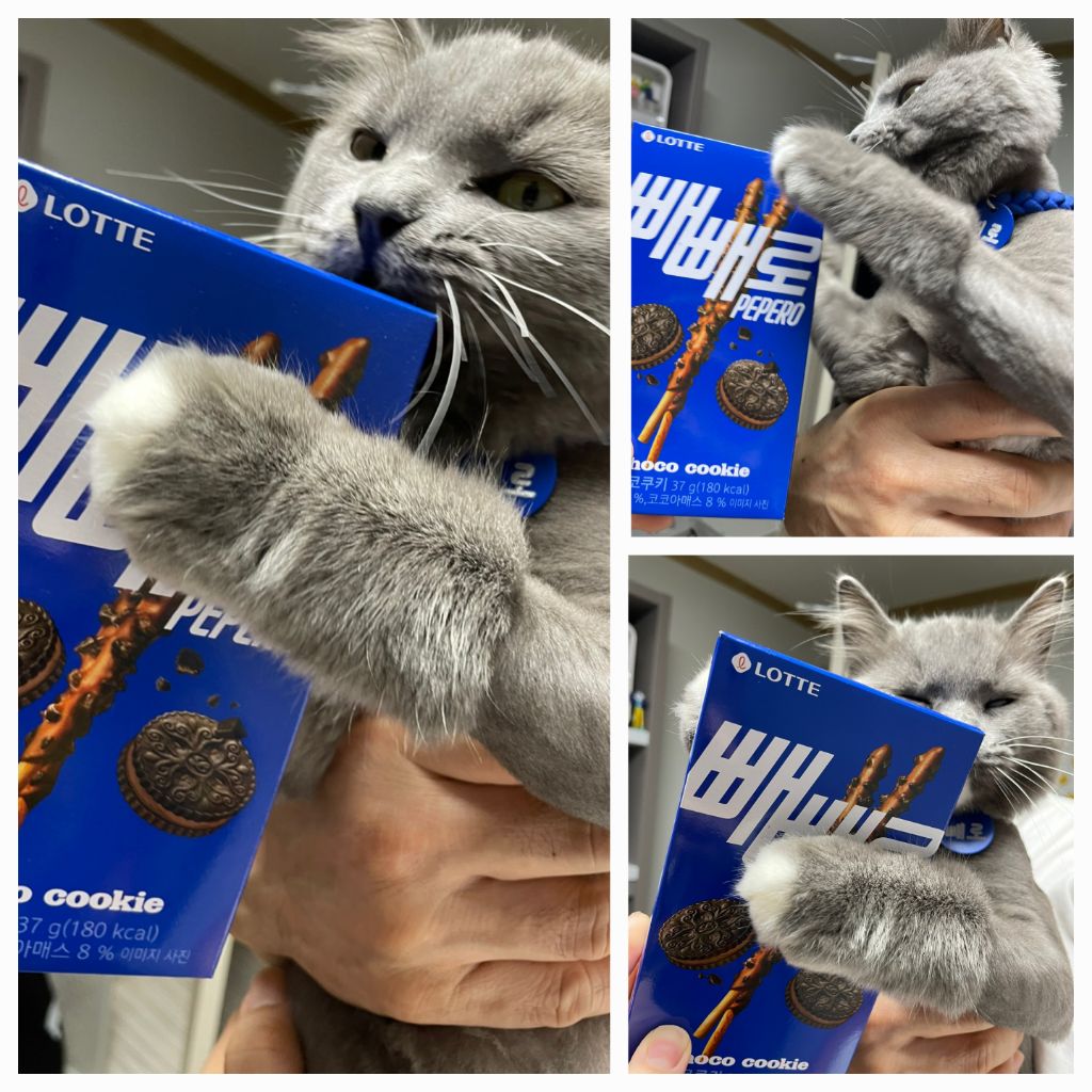 게시글 대표 이미지