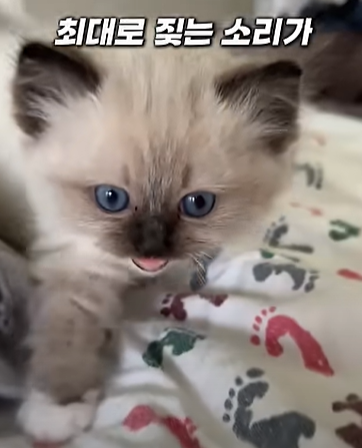 게시글 대표 이미지