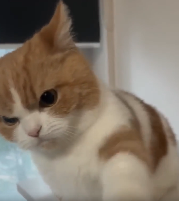 게시글 대표 이미지