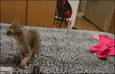 게시글 대표 이미지