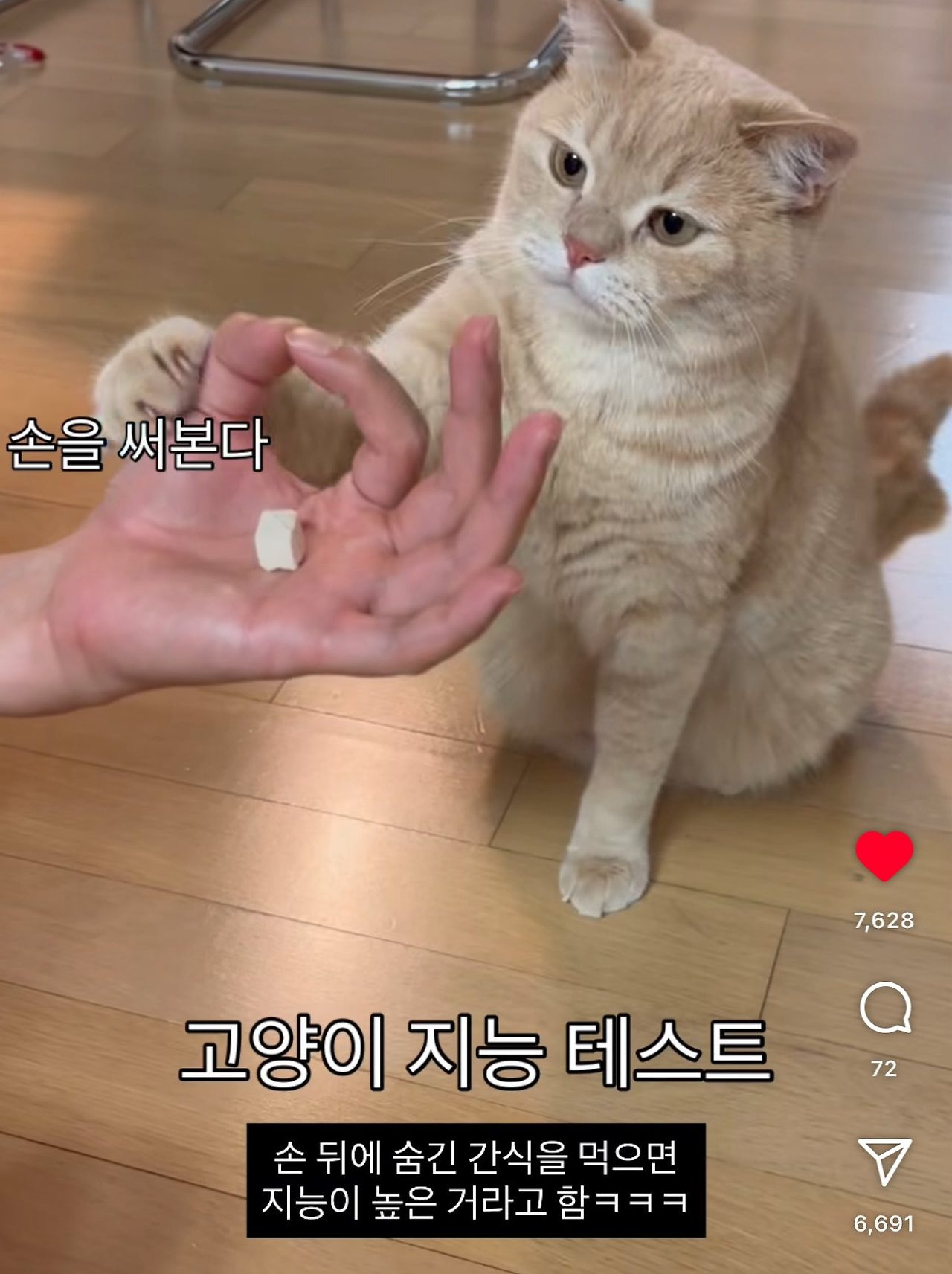 게시글 대표 이미지