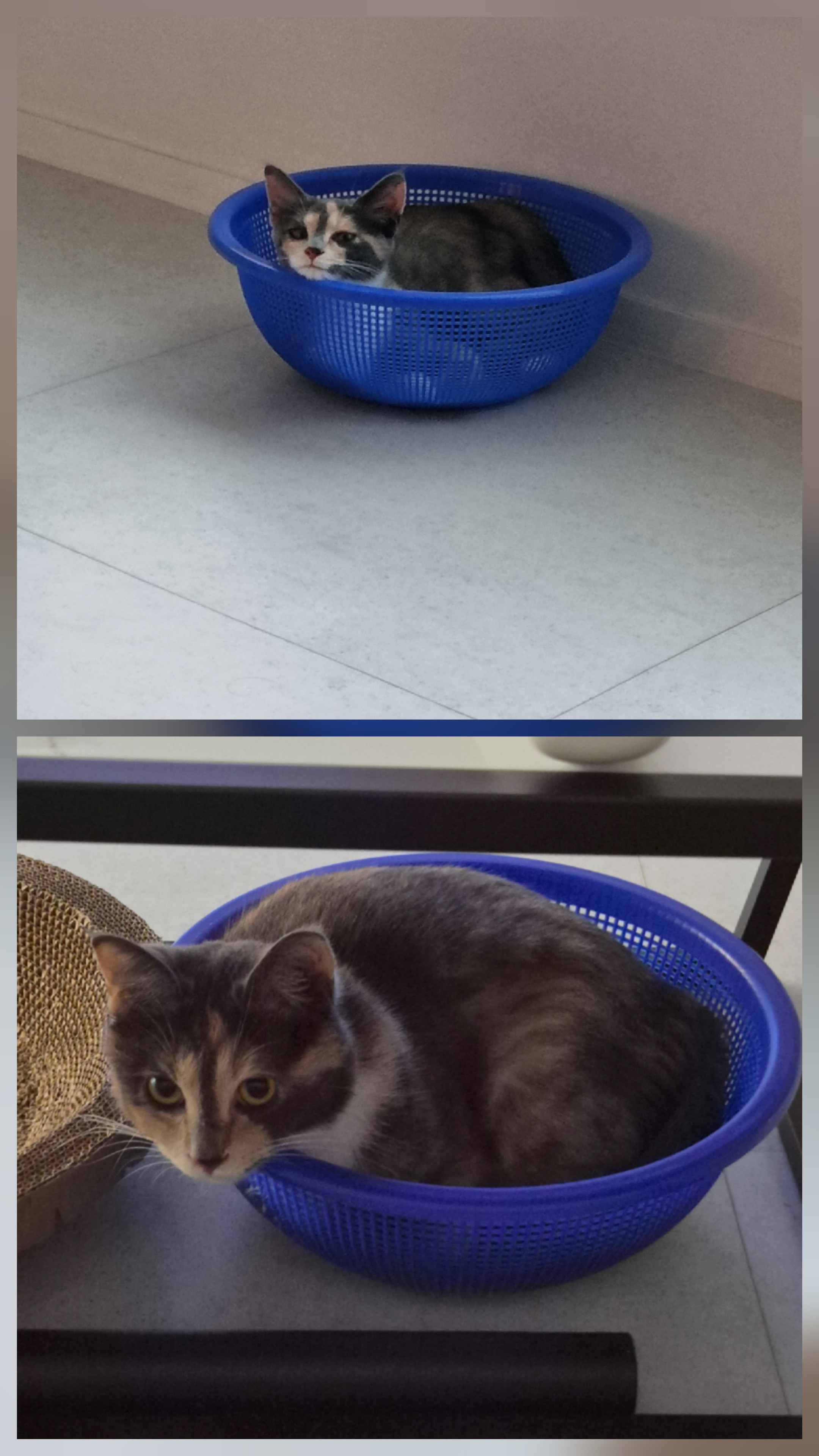 게시글 대표 이미지