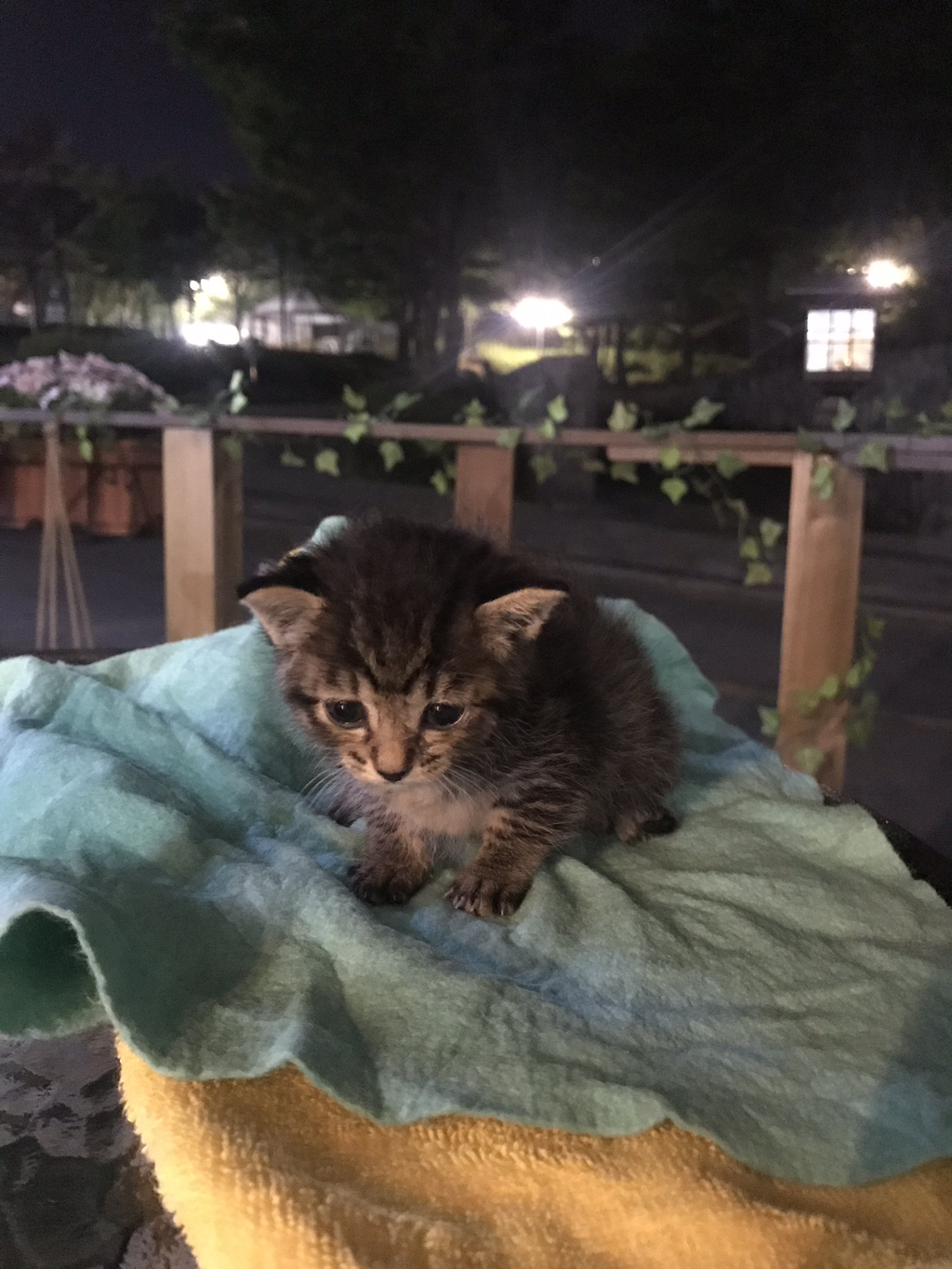 게시글 대표 이미지