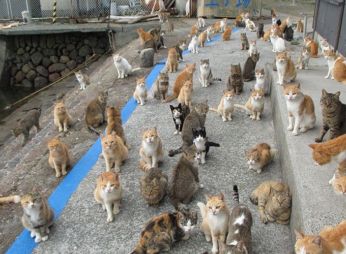 게시글 대표 이미지