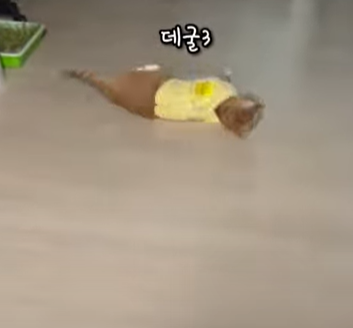 게시글 대표 이미지