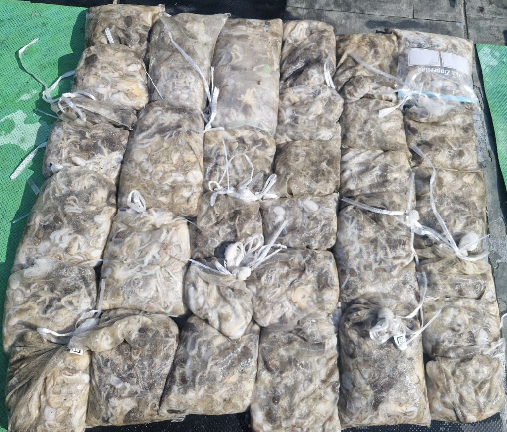 게시글 대표 이미지