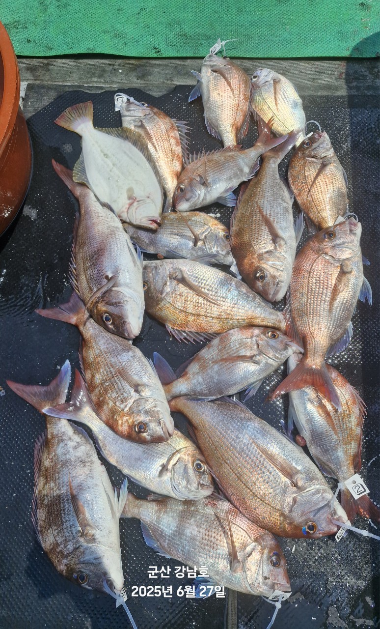 게시글 대표 이미지