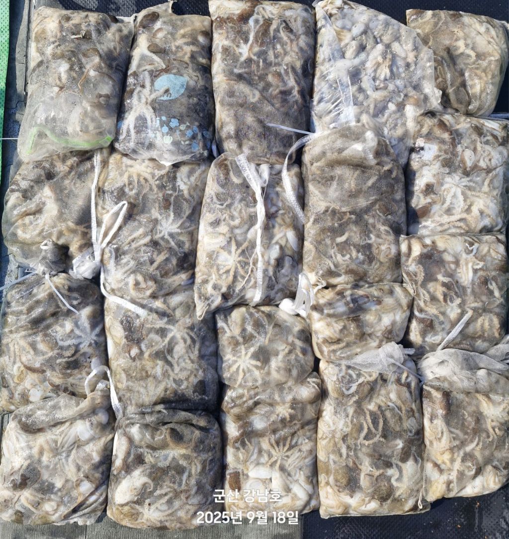 게시글 대표 이미지