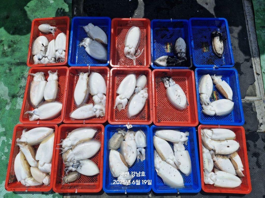 게시글 대표 이미지