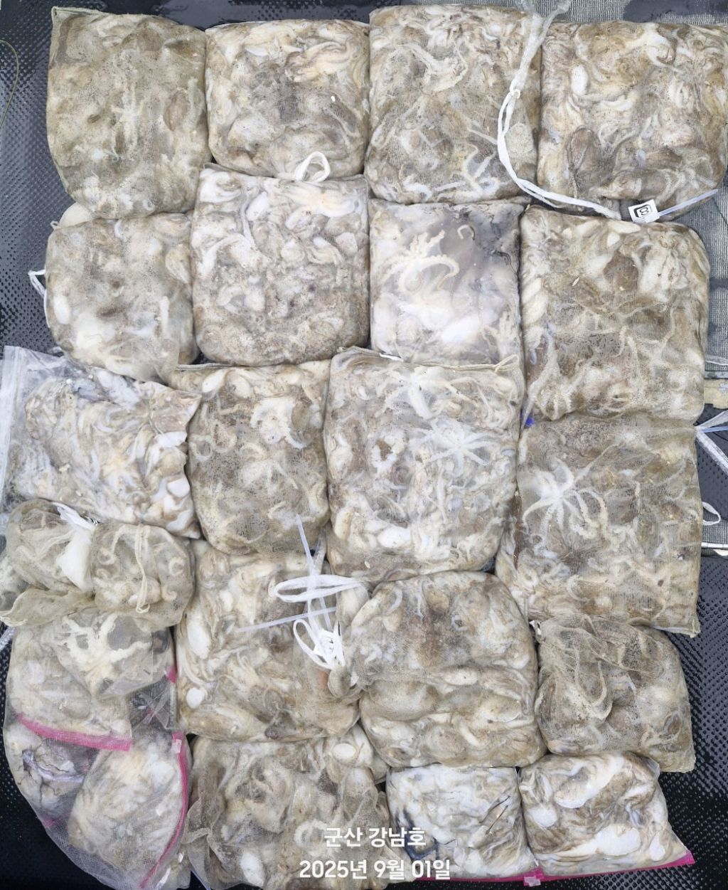 게시글 대표 이미지