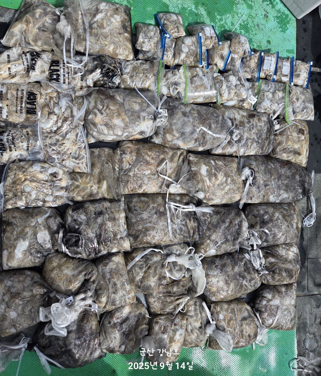 게시글 대표 이미지