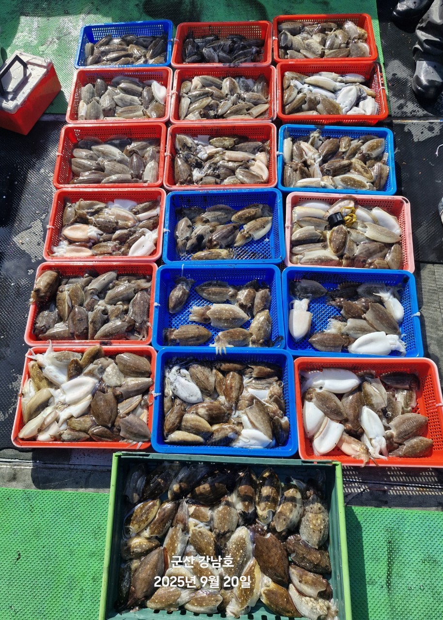 게시글 대표 이미지