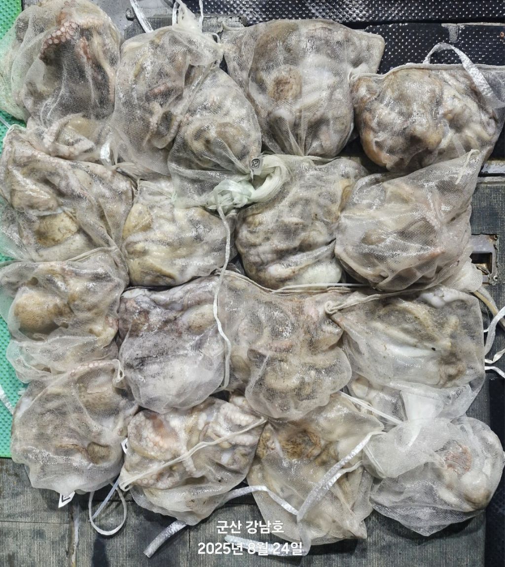 게시글 대표 이미지