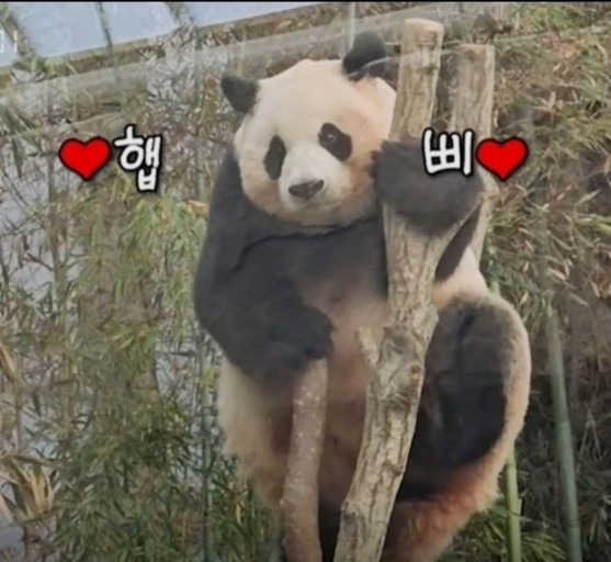 게시글 대표 이미지