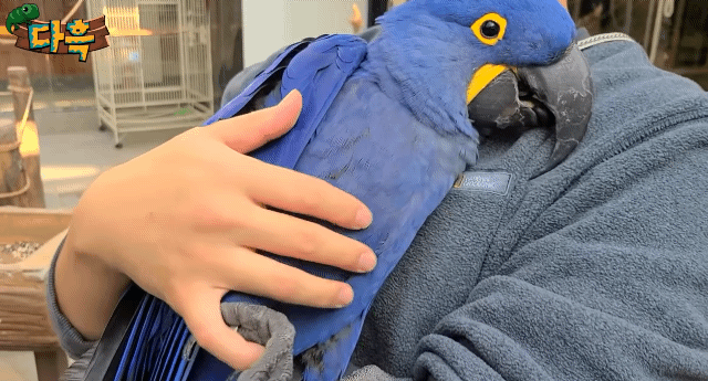 게시글 대표 이미지