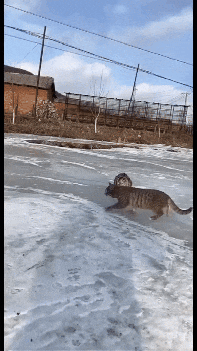 게시글 대표 이미지