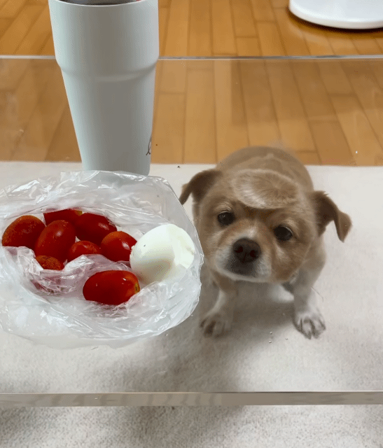 게시글 대표 이미지