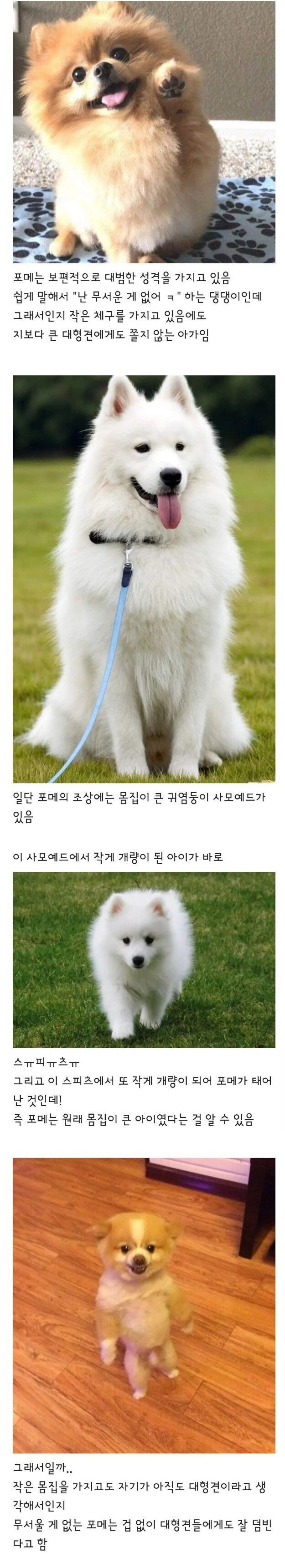 게시글 대표 이미지
