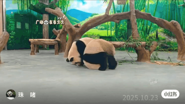 게시글 대표 이미지