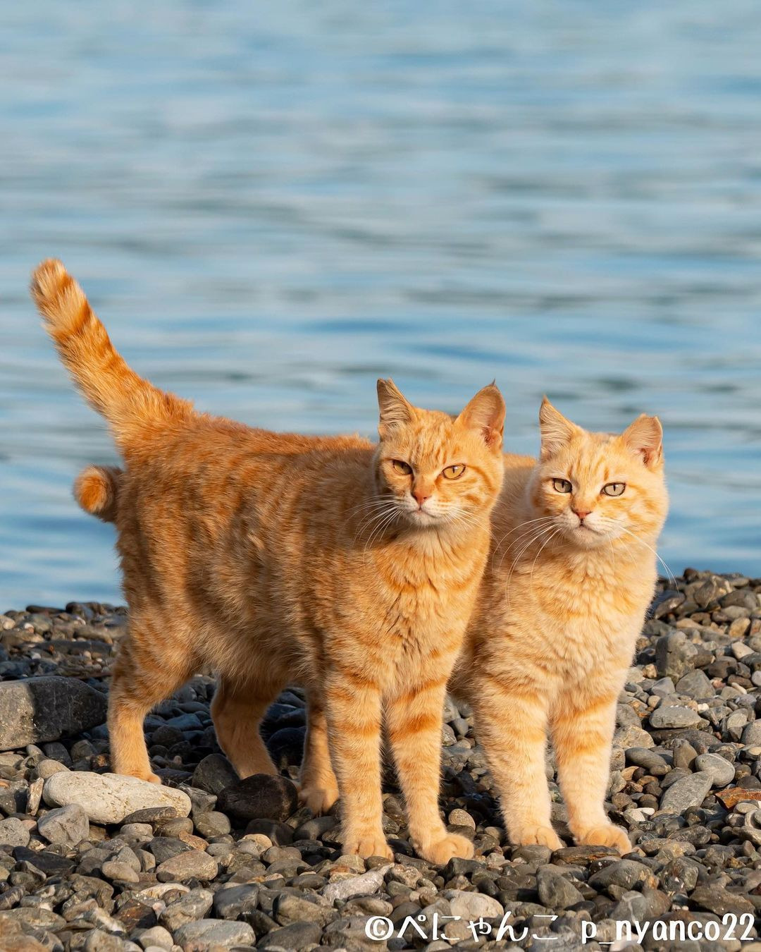 게시글 대표 이미지