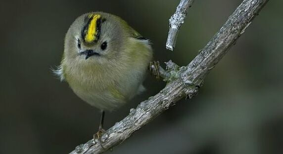 게시글 대표 이미지