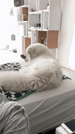 게시글 대표 이미지