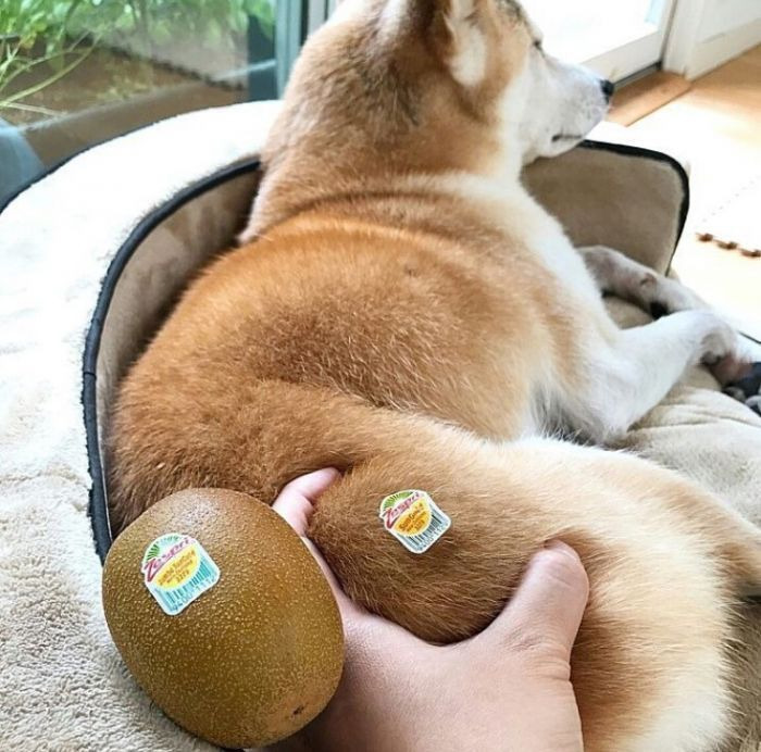 게시글 대표 이미지