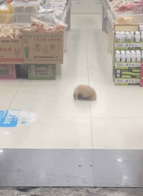 게시글 대표 이미지