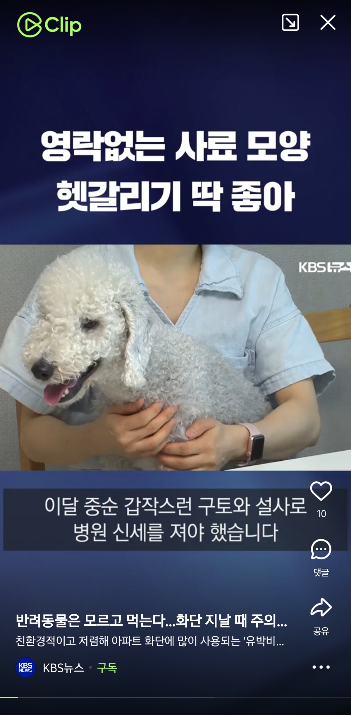 대표이미지