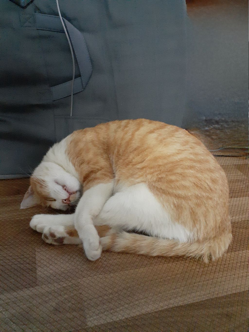 대표이미지