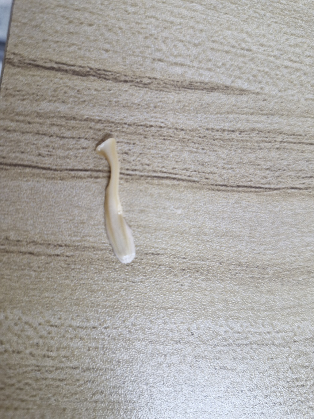 게시글 대표 이미지