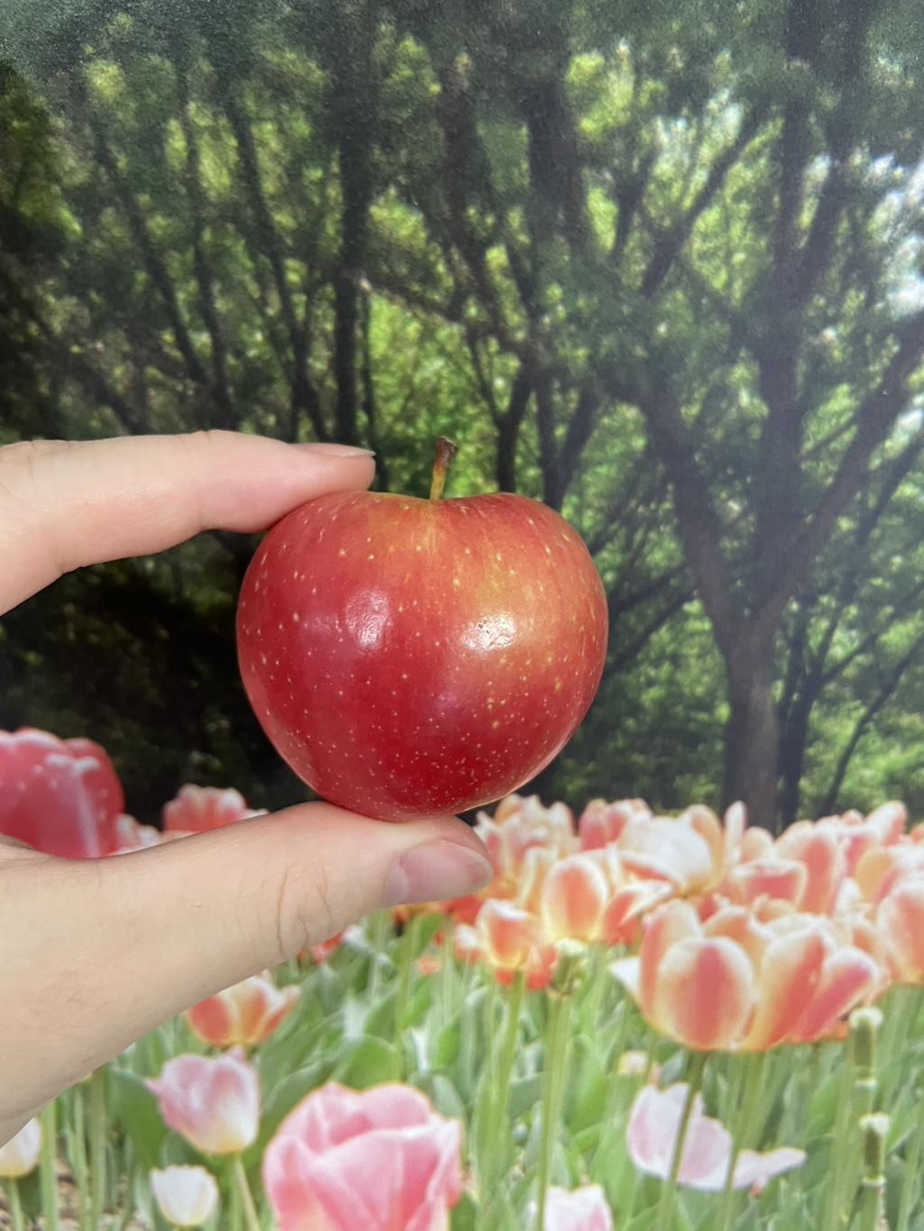 게시글 대표 이미지