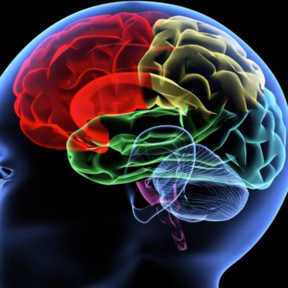 게시글 대표 이미지