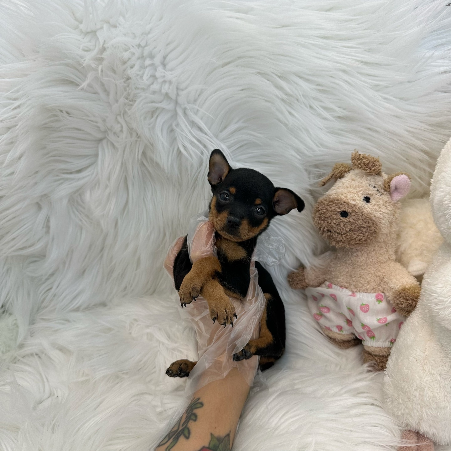 게시글 대표 이미지