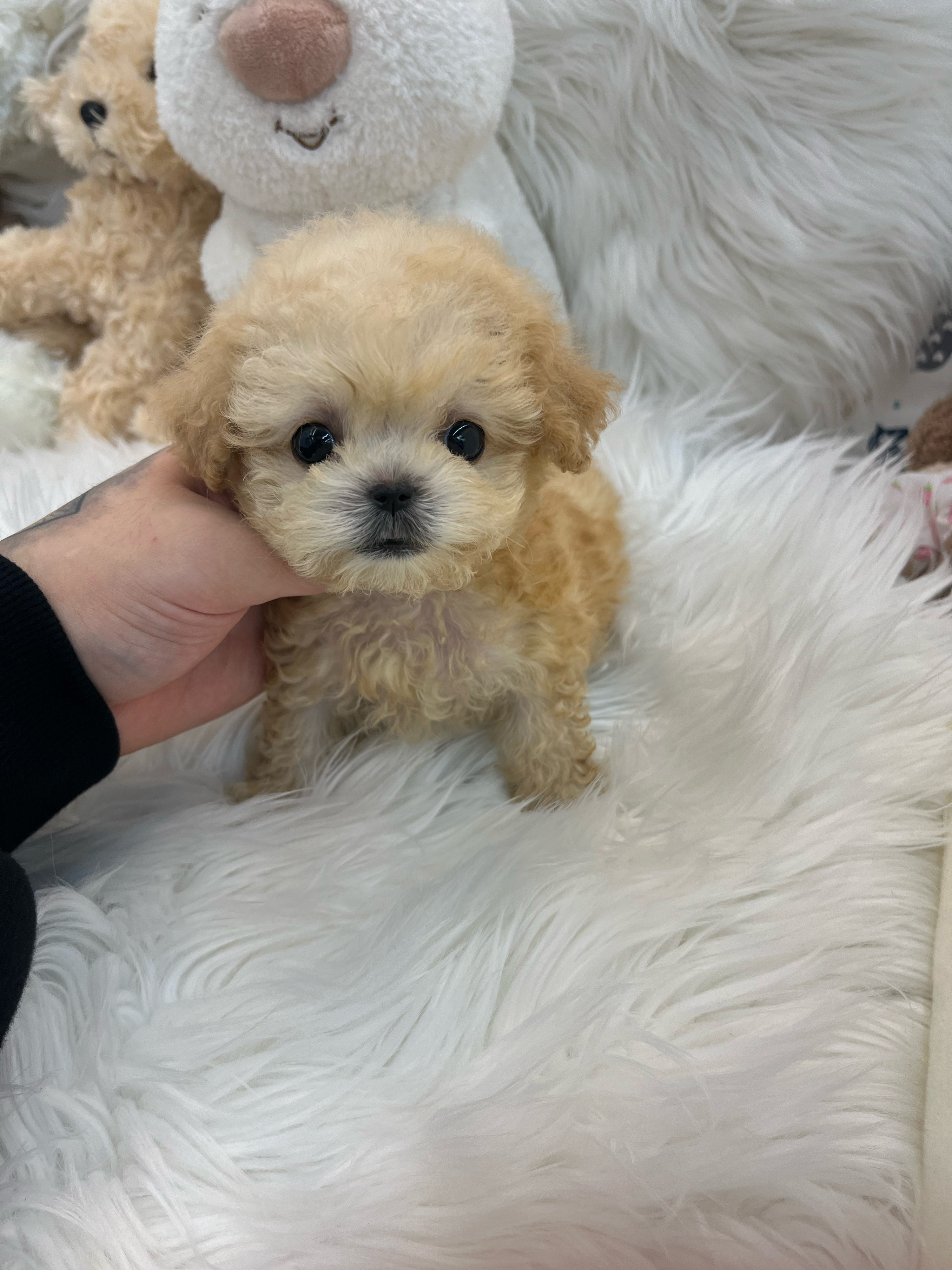 게시글 대표 이미지