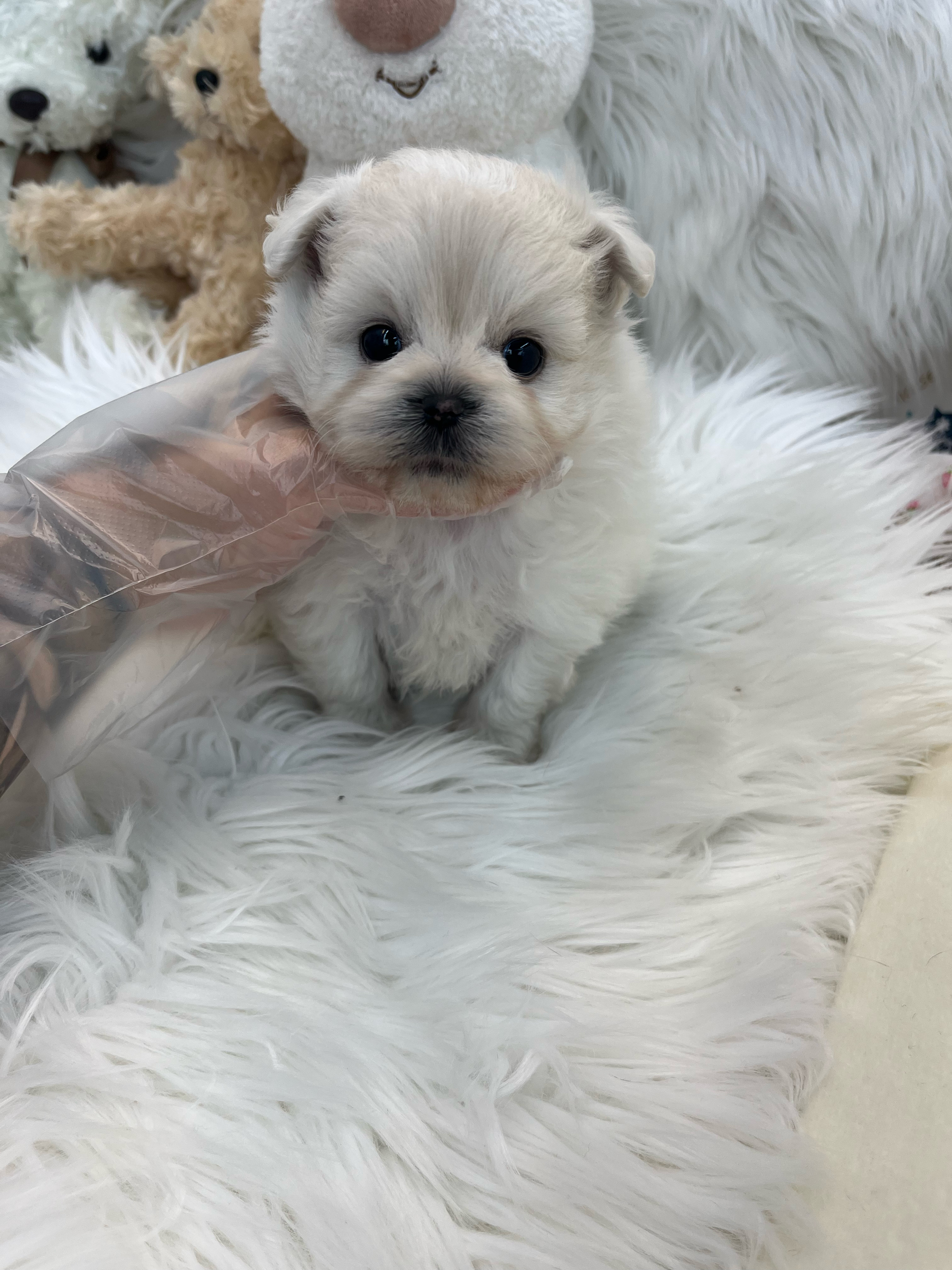 게시글 대표 이미지