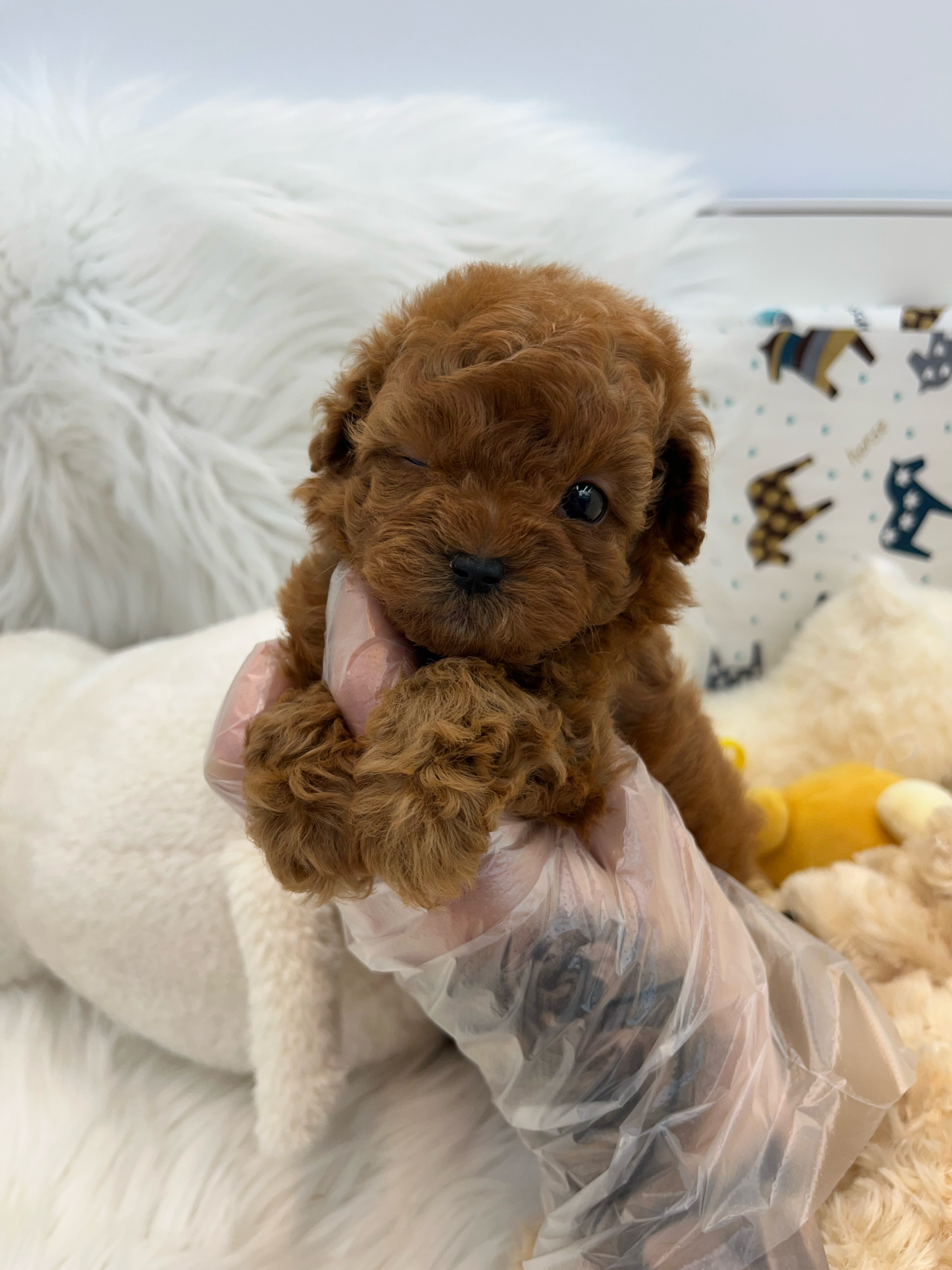 게시글 대표 이미지