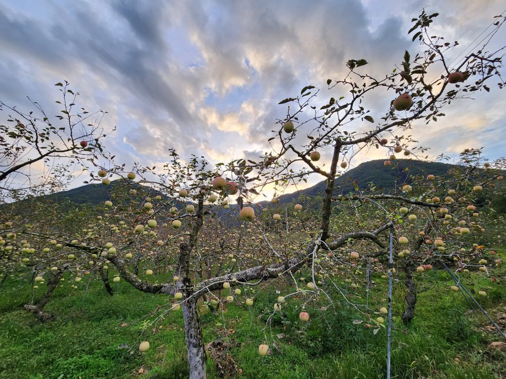 게시글 대표 이미지