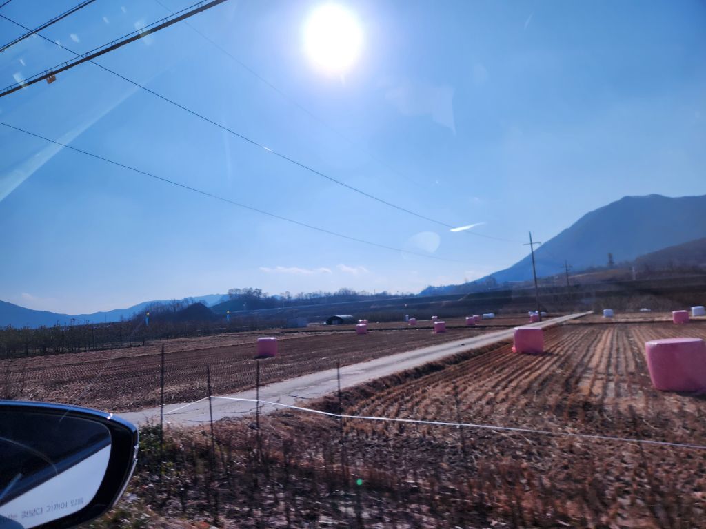 게시글 대표 이미지