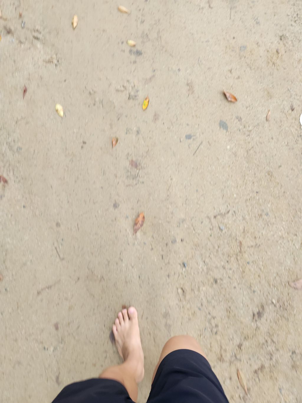 게시글 대표 이미지