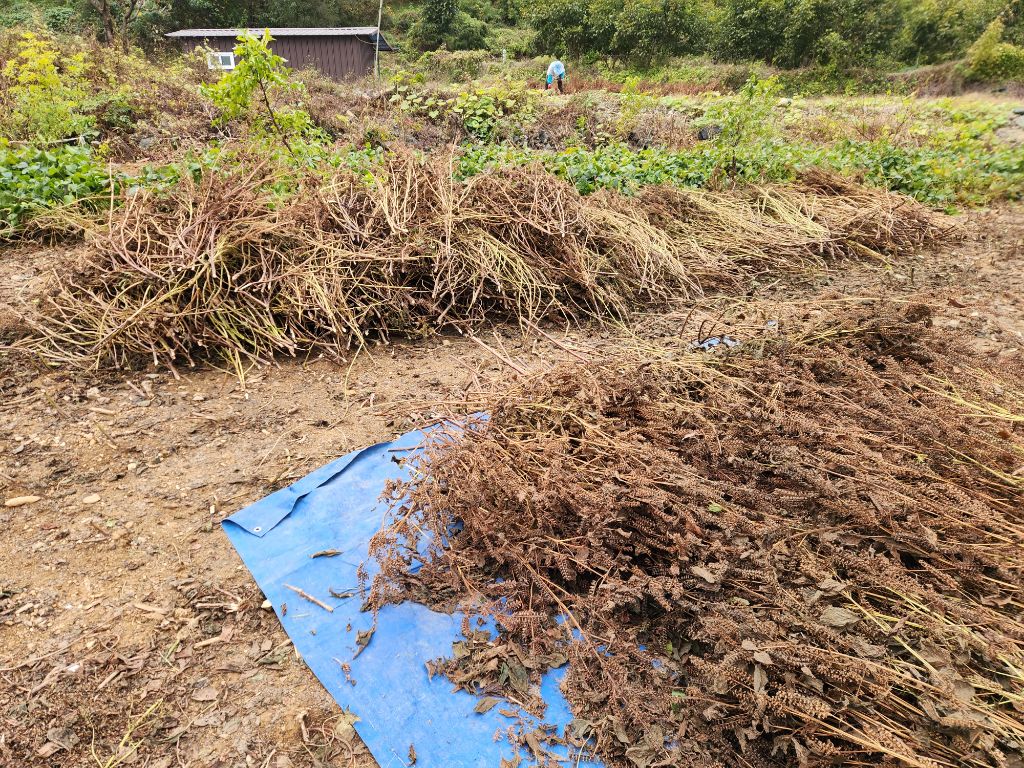 게시글 대표 이미지