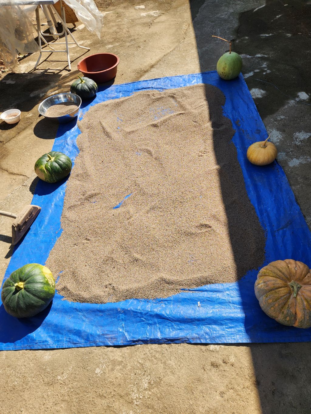 게시글 대표 이미지