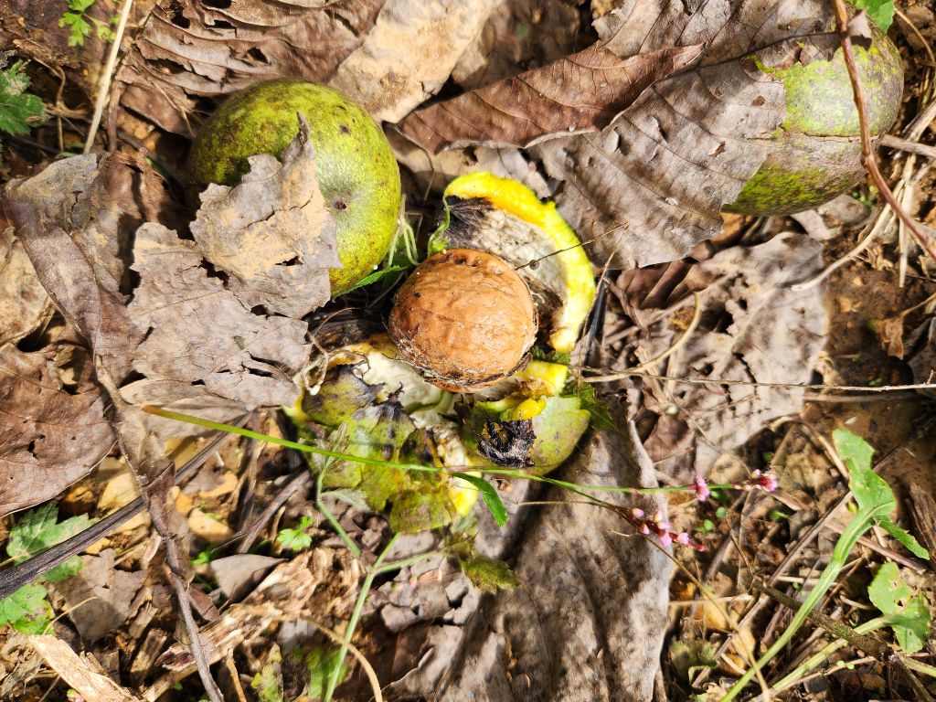 게시글 대표 이미지