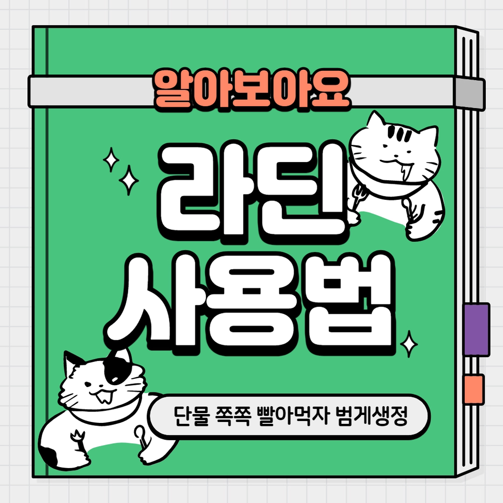 대표이미지