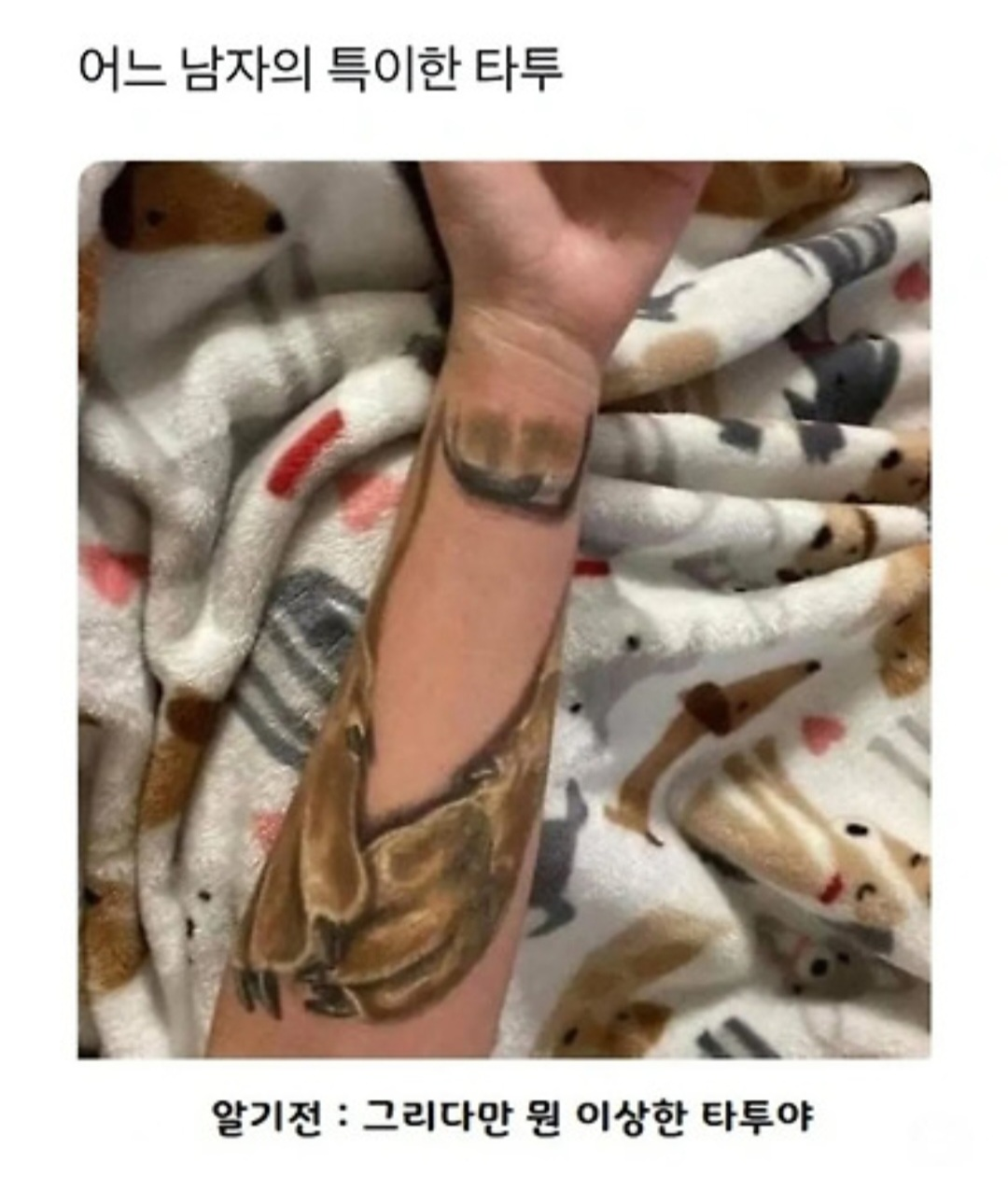 게시글 대표 이미지