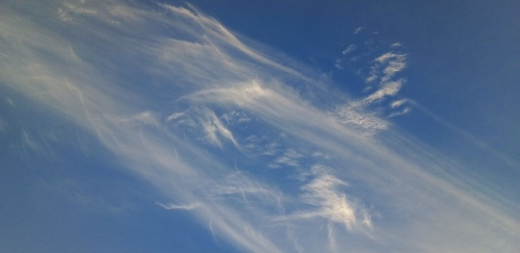 게시글 대표 이미지