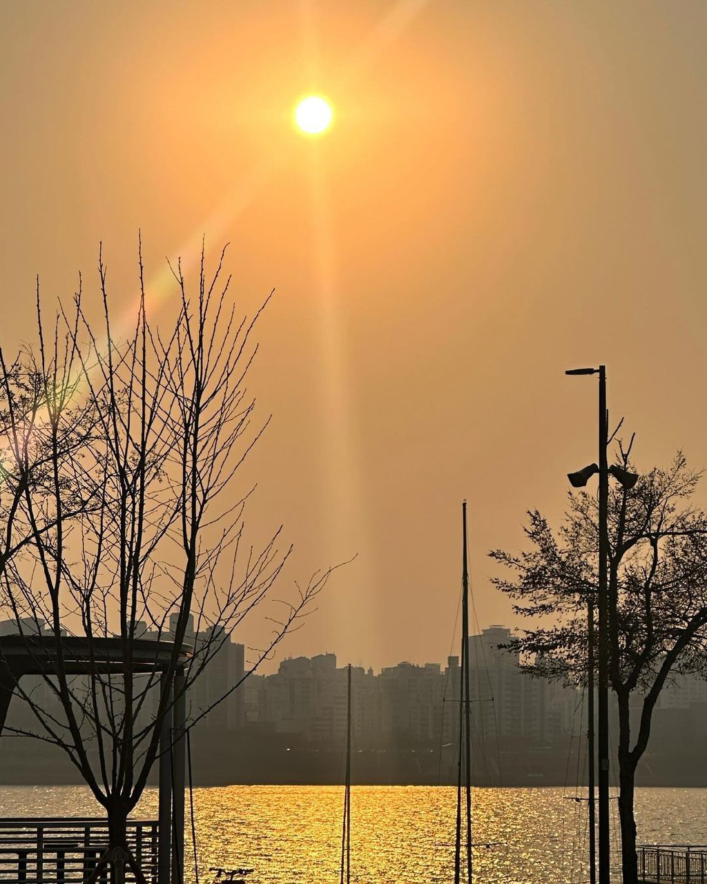 게시글 대표 이미지