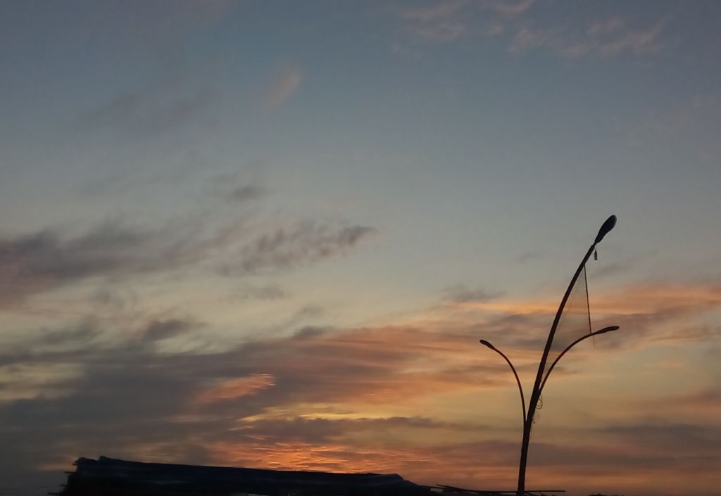 게시글 대표 이미지