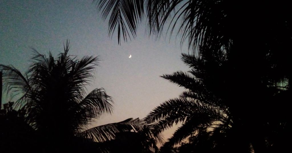 게시글 대표 이미지