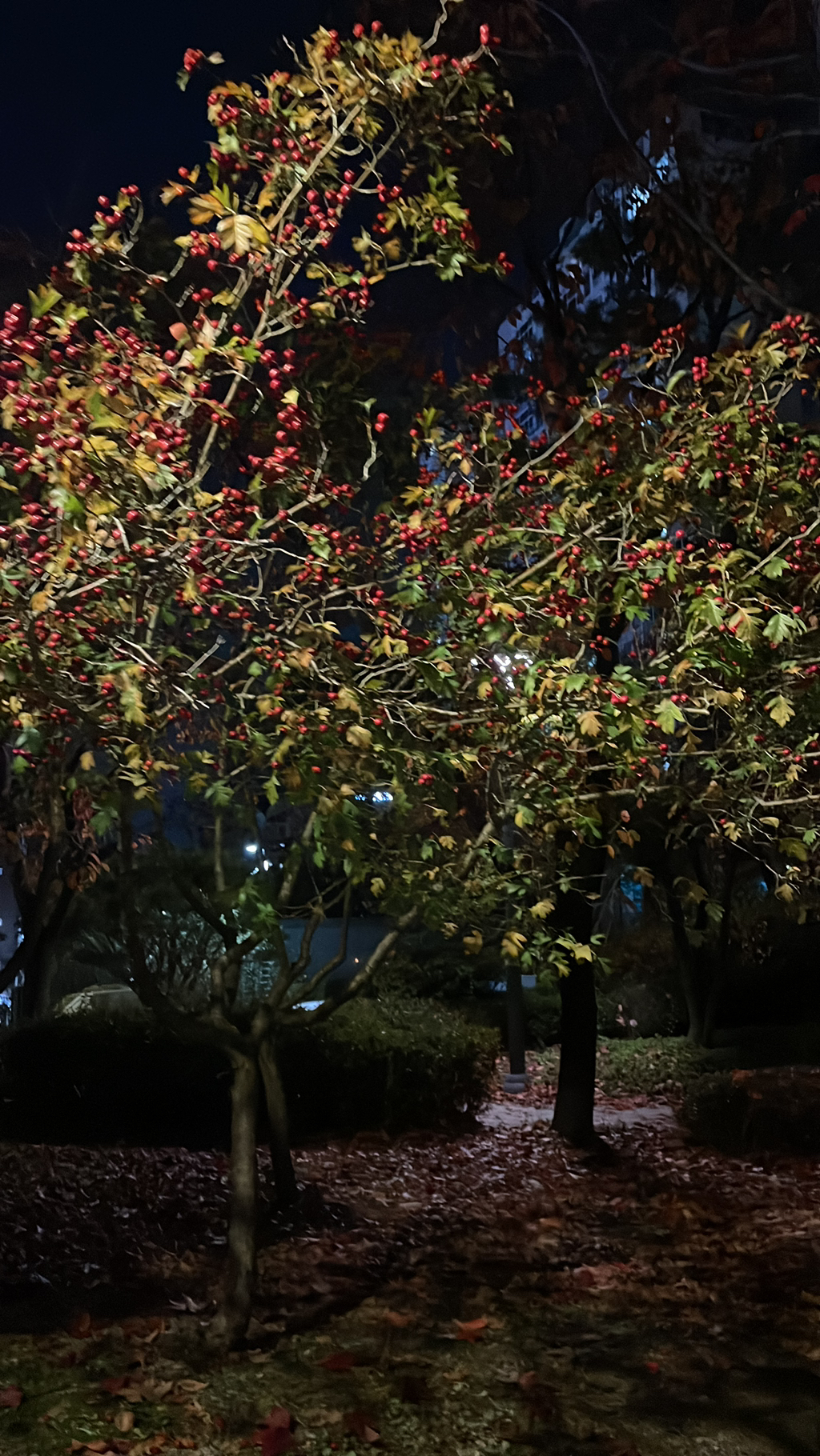 게시글 대표 이미지